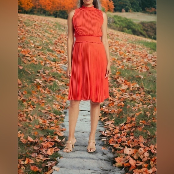 Nanette Leopore Mock Neck Terra Cotta Accordion Pleated Midi Dress Size 4 NWT! - Picture 1 of 16